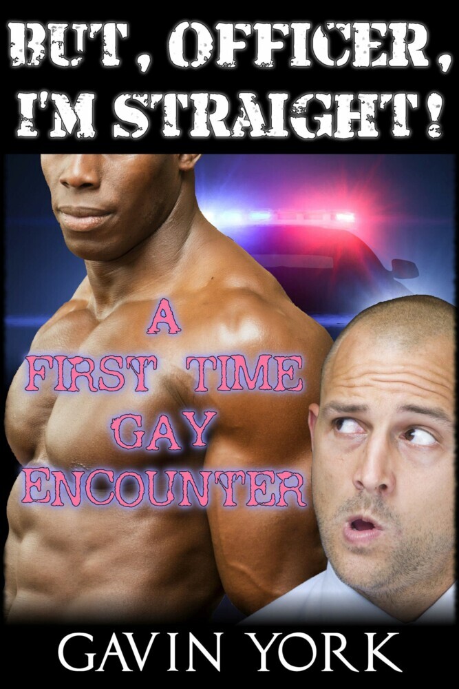 But Officer, I'm Straight! main product photo