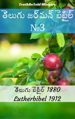 _____ ____ ___ No3