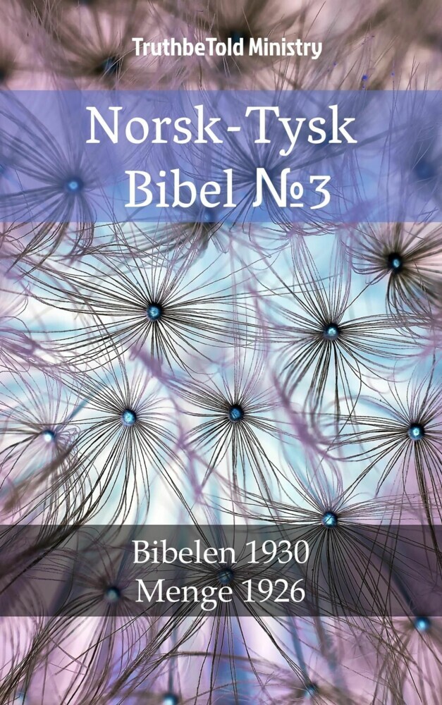 Norsk-Tysk Bibel _3 main product photo