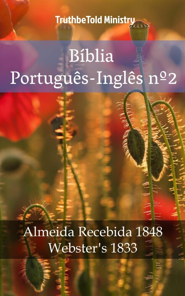 Bíblia Português-Inglês nº2 main product photo
