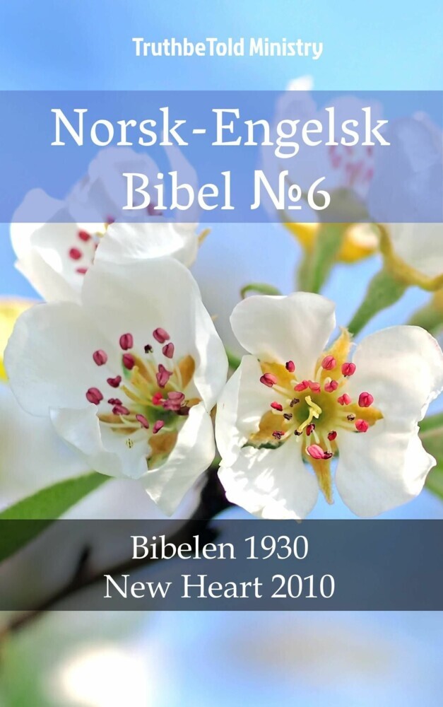 Norsk-Engelsk Bibel _6 main product photo