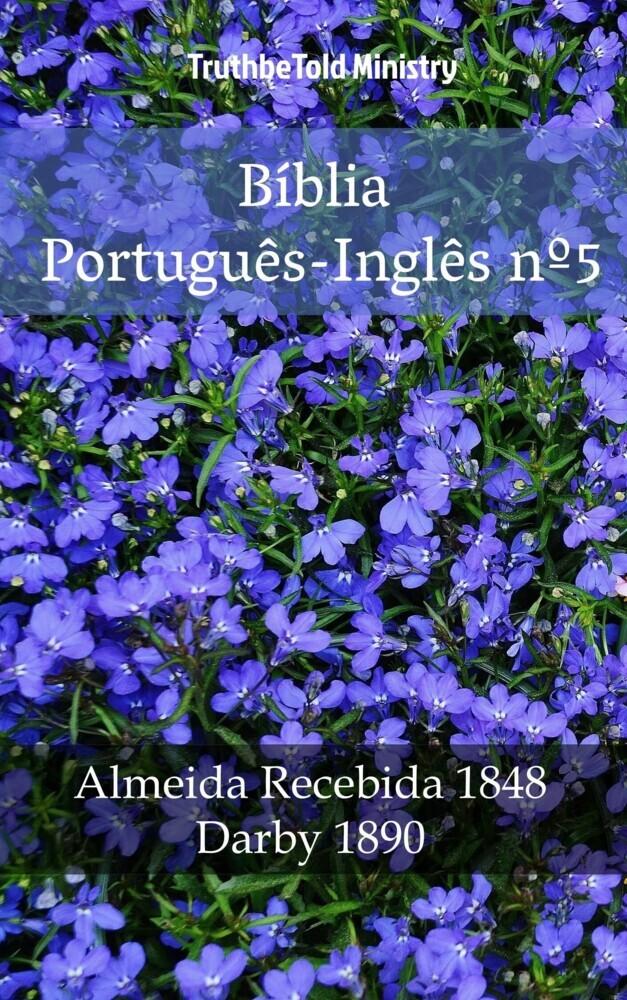 Bíblia Português-Inglês nº5 main product photo