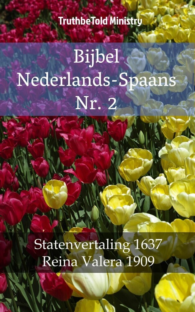Bijbel Nederlands-Spaans Nr. 2 main product photo