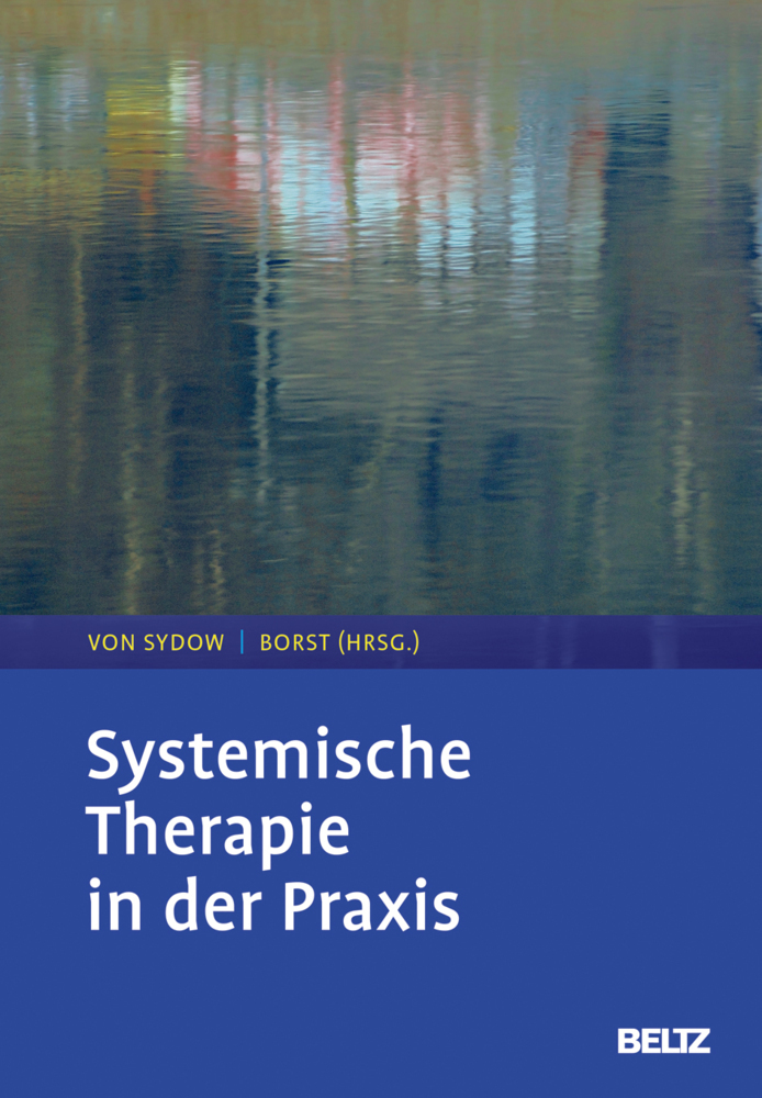 Systemische Therapie in der Praxis main product photo