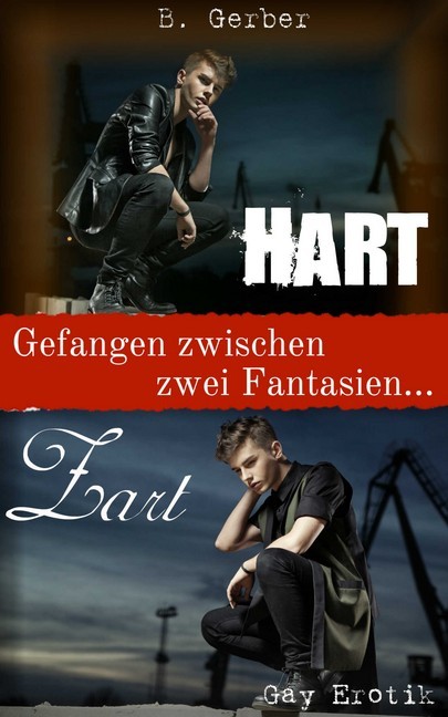 Zart & Hart main product photo