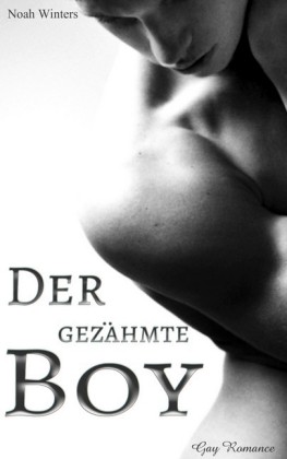 Der gezähmte Boy