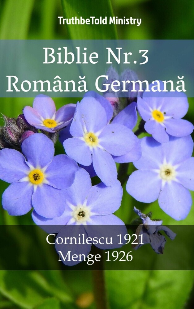 Biblie Nr.3 Româna Germana main product photo