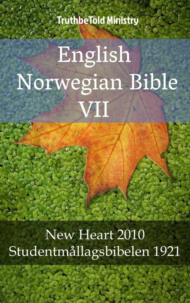 English Norwegian Bible VII main product photo