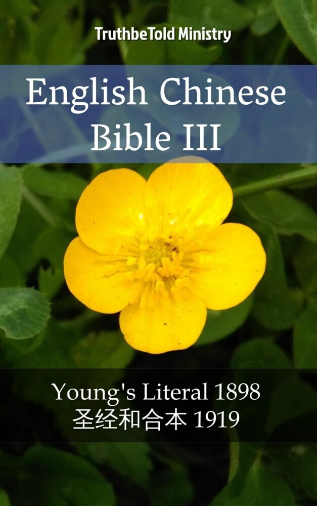 English Chinese Bible III main product photo