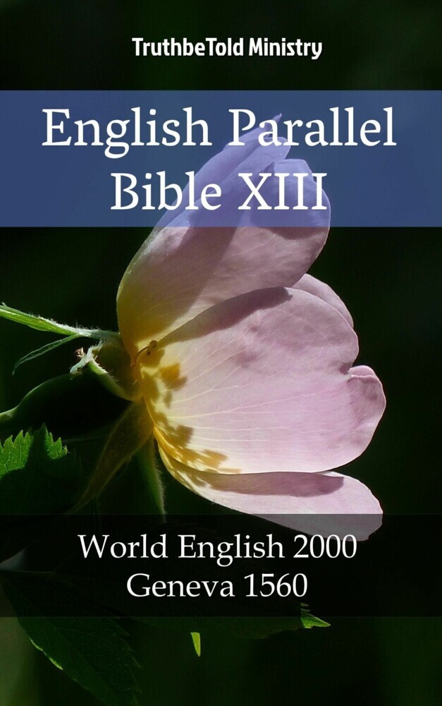 English Parallel Bible XIII main product photo