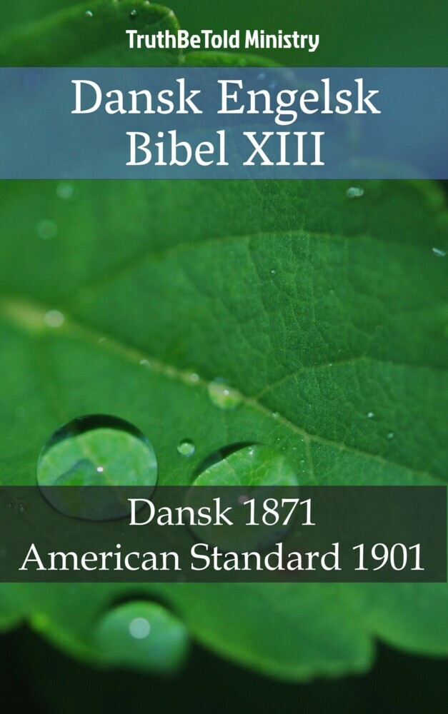 Dansk Engelsk Bibel XIII main product photo