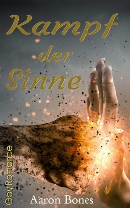 Kampf der Sinne (Gay Romance)