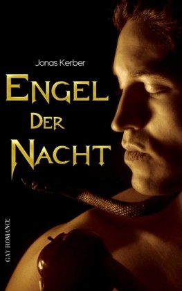 Engel der Nacht (Gay Romance)