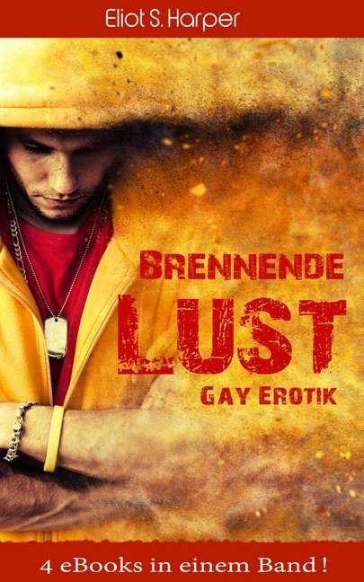 Brennende Lust: Gay Erotik main product photo