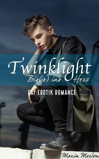 Twinklight - Bis(s) ins Herz: Gay Erotik Romance main product photo