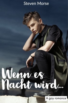 Wenn es Nacht wird...: Gay Romance
