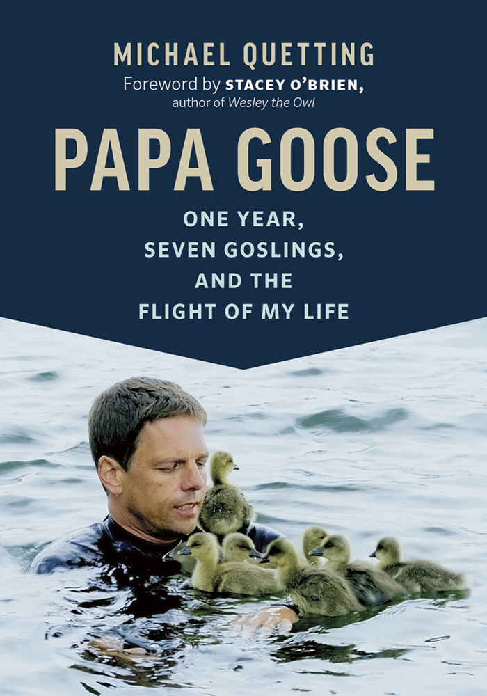 Papa Goose main product photo