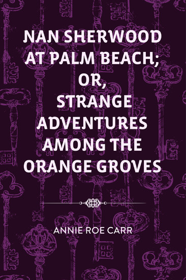 Nan Sherwood at Palm Beach; Or, Strange Adventures Among The Orange Groves main product photo