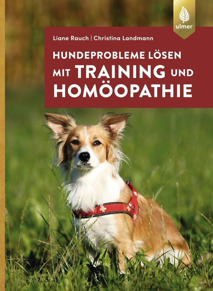 Hundeprobleme lösen mit Training und Homöopathie main product photo