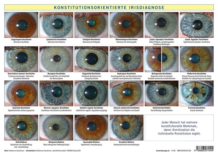 Konstitutionsorientierte Irisdiagnose, Tafel main product photo