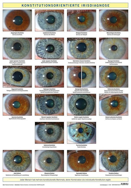Konstitutionsorientierte Irisdiagnose, Wandtafel main product photo