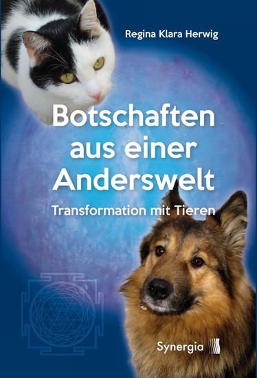 Botschaften aus einer Anderswelt main product photo