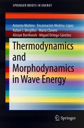 Thermodynamics and Morphodynamics in Wave Energy
