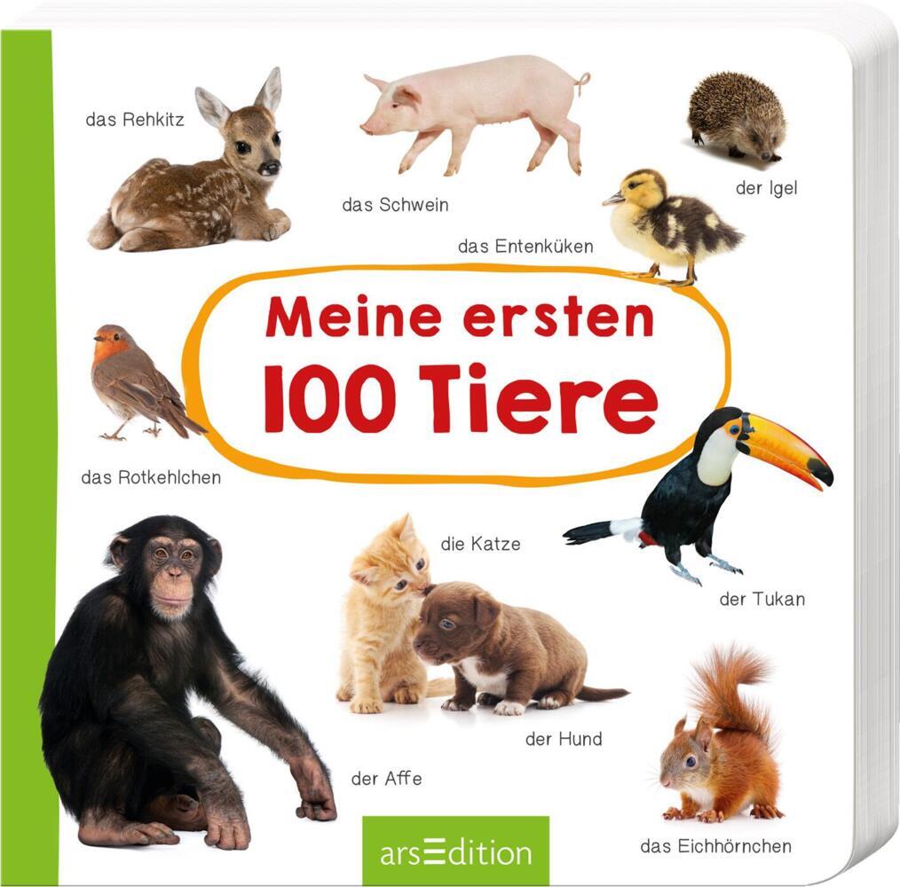 Meine ersten 100 Tiere main product photo