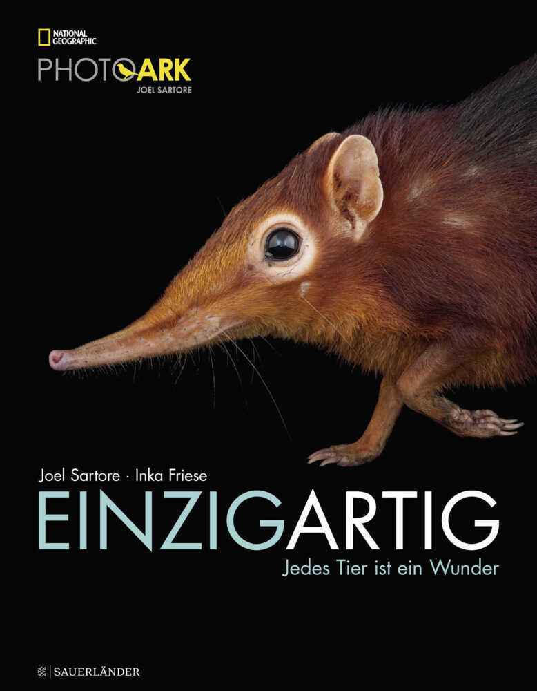 Einzigartig main product photo