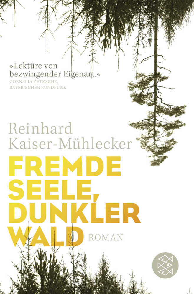 Fremde Seele, dunkler Wald main product photo