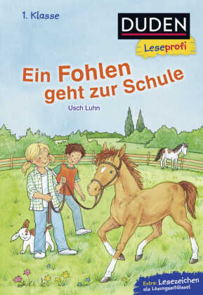 Ein Fohlen geht zur Schule