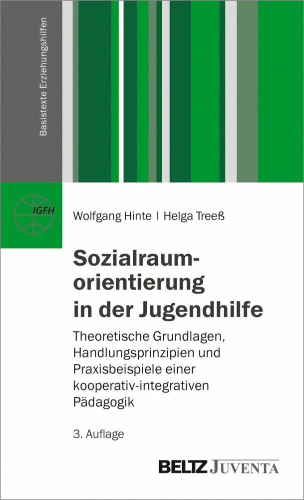 Sozialraumorientierung in der Jugendhilfe main product photo