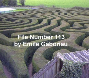 File No. 113