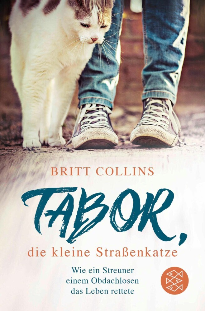Tabor, die kleine Straßenkatze main product photo