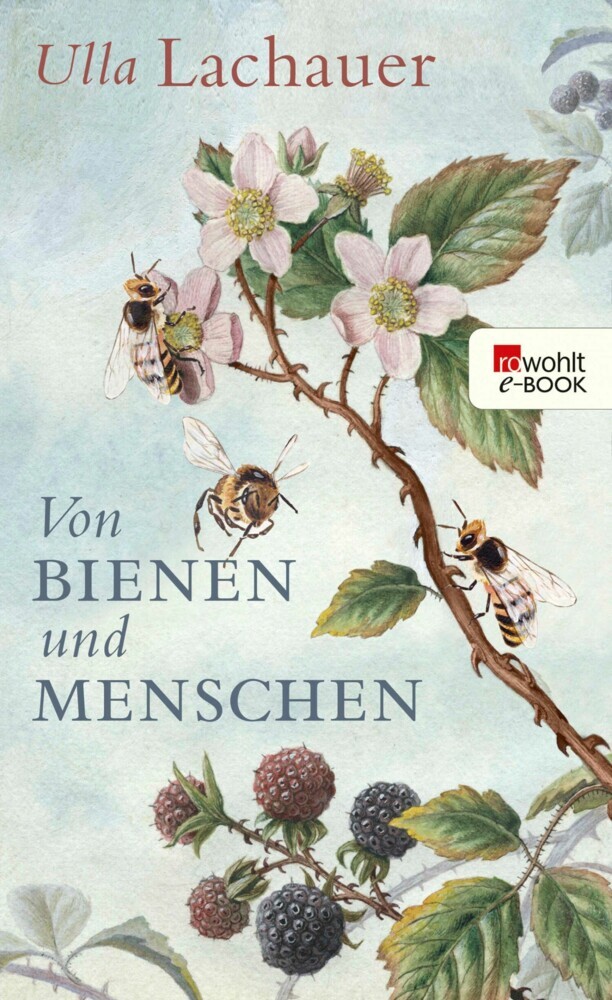 Von Bienen und Menschen main product photo