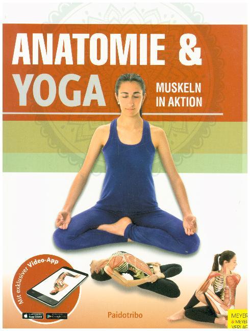 Anatomie & Yoga, m. 1 Buch, m. 1 Beilage main product photo