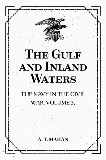 The Gulf and Inland Waters: The Navy in the Civil War. Volume 3. main product photo