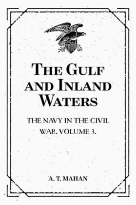 The Gulf and Inland Waters: The Navy in the Civil War. Volume 3.