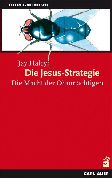 Die Jesus-Strategie main product photo