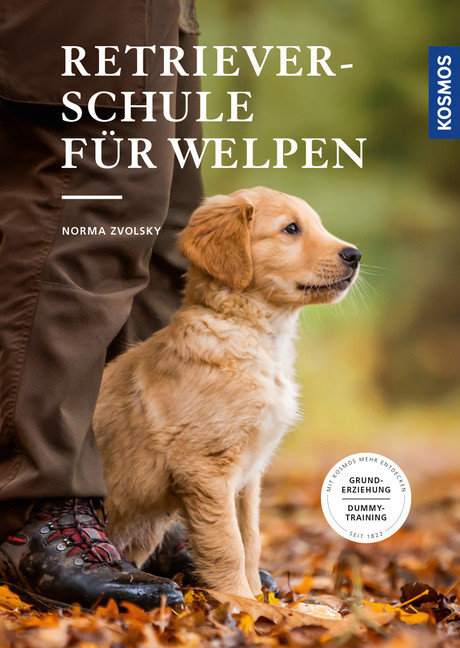 Retrieverschule für Welpen main product photo