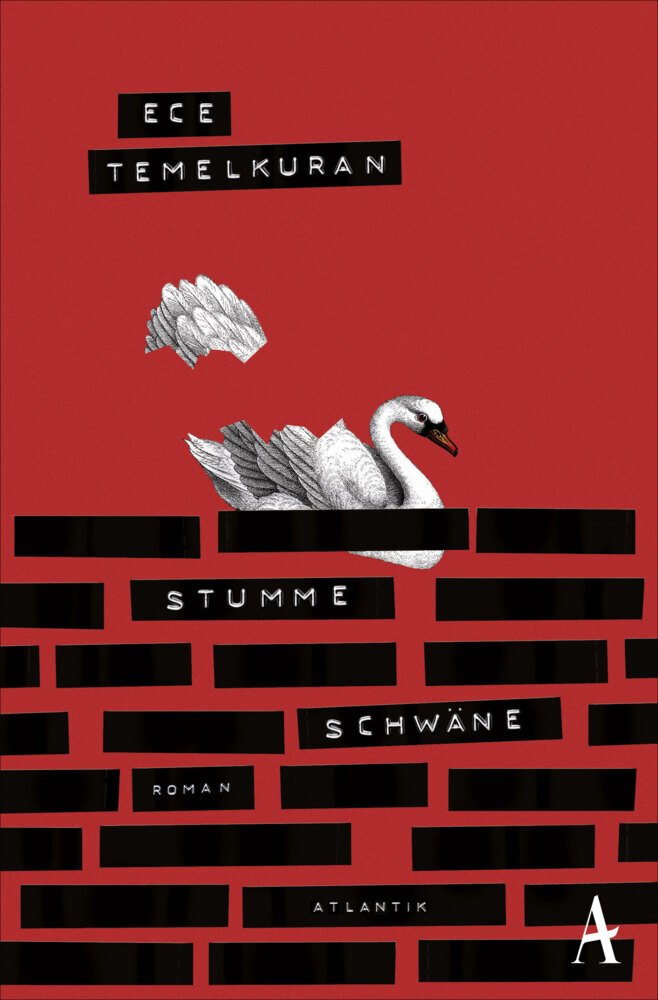 Stumme Schwäne main product photo