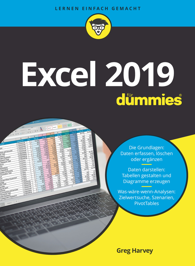 Excel 2019 für Dummies main product photo