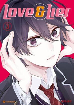 Love & Lies. Bd.3