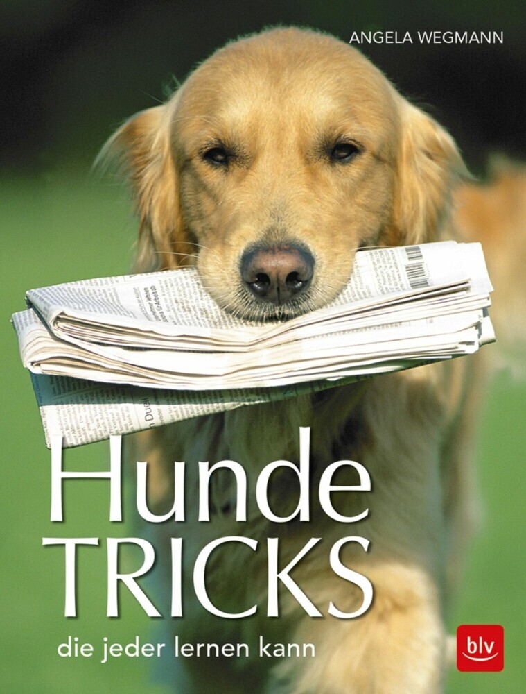 Hundetricks main product photo