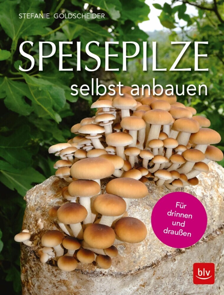 Speisepilze selbst anbauen main product photo