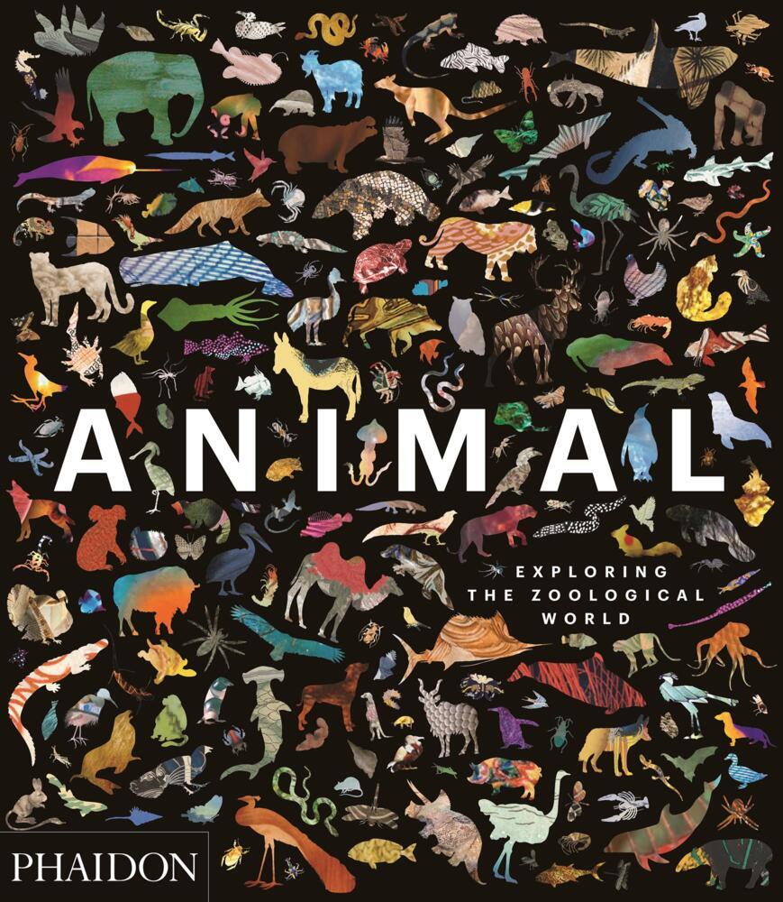 Animal: Exploring the Zoological World main product photo