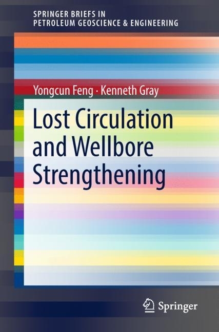 Lost Circulation and Wellbore Strengthening main product photo