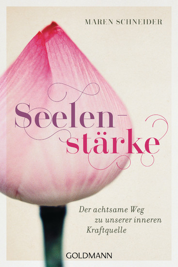Seelenstärke main product photo