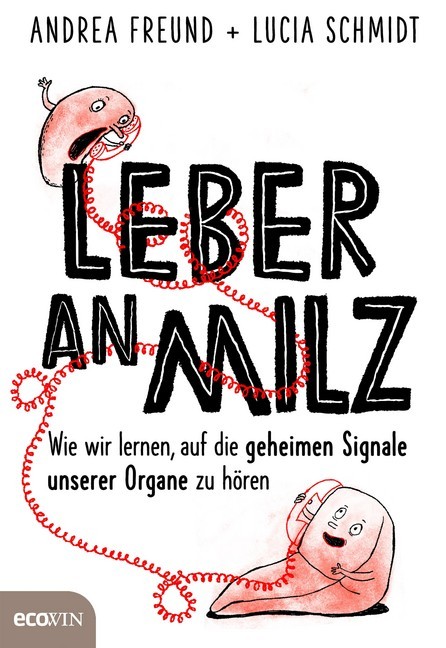 Leber an Milz main product photo