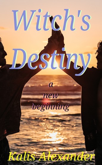 Witch's Destiny main product photo